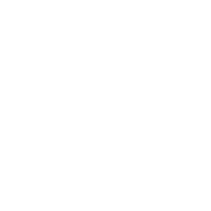 Retail & eCommerce icon