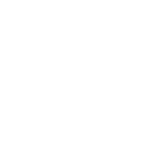Energy & Utilities icon