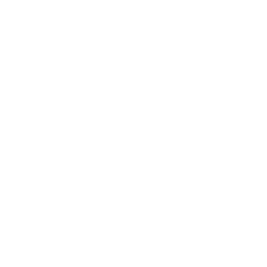 Fintech icon