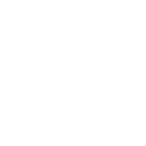 Government icon