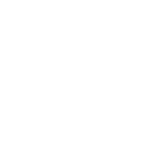 Healthcare icon